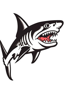 Tattoo template of a fierce shark with bared teeth mid-swim