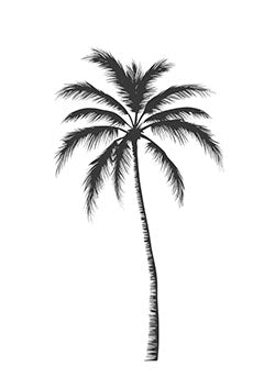 Tattoo template of a solitary palm tree with detailed fronds