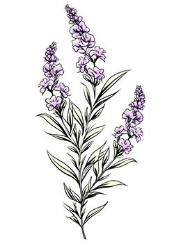 Tattoo template of a tranquil lavender sprig