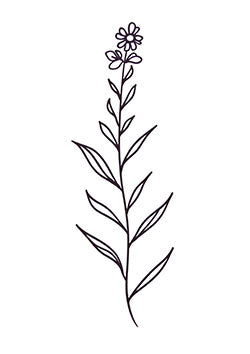 Tattoo template of a single flower with thin, graceful leaves in a minimalist design.