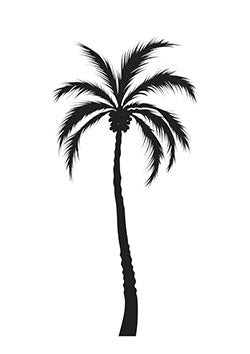 Tattoo template of a solitary palm tree with detailed fronds and trunk