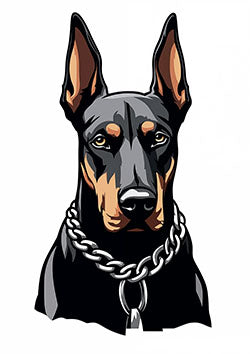 Tattoo template of a Doberman with a chain collar, conveying loyalty and strength