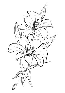 Tattoo template of a gracefully flowing lily flower