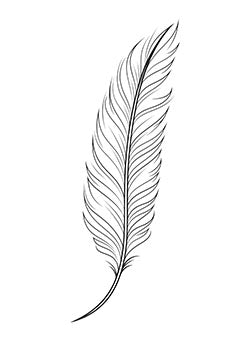 Tattoo template of a delicate and intricately detailed feather design