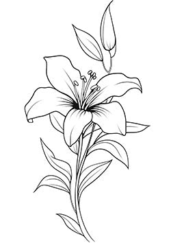 Tattoo template of a stylized lily with leaves