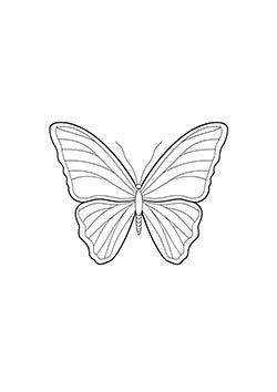 Tattoo template of a symmetric butterfly with open wings