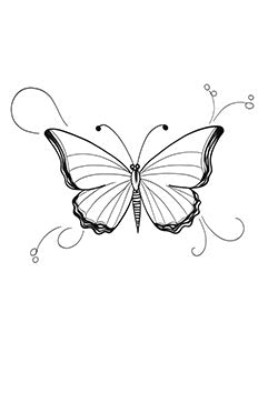 Tattoo template of a symmetrical butterfly with delicate wings and swirls.