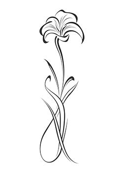 Tattoo template of a lily in black lines, representing grace and beauty