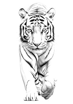 Tattoo template of a detailed tiger in mid-stride with piercing eyes