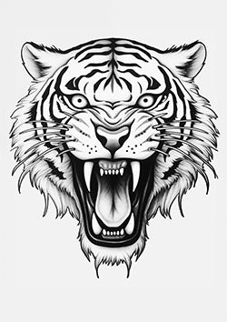 Tattoo template of a tiger's head roaring with sharp teeth and intense gaze