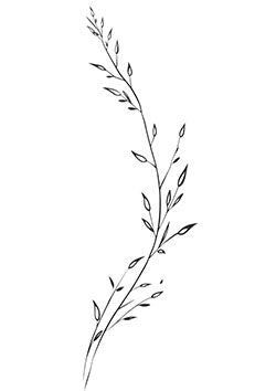 Tattoo template of a delicate botanical branch with leaves and buds