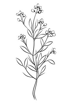 Tattoo template of a delicate branch with tender flowers and leaves