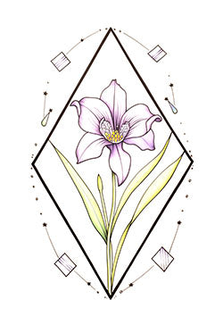 Tattoo template of a purple flower in a geometric diamond with celestial accents.