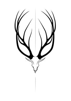 Tattoo template of a stag skull with antlers