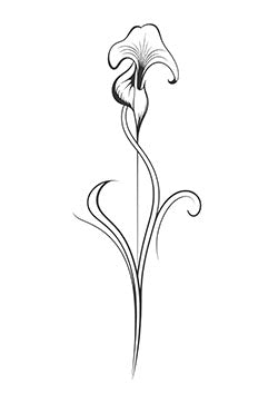 Tattoo template of a single elegant flower with curved lines