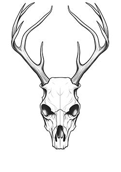 Tattoo template of a stag skull with grand antlers