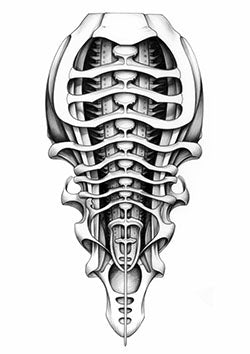 Tattoo template of a biomechanical ribcage blending organic and mechanical designs