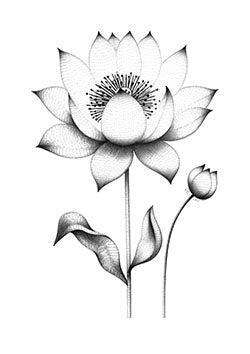 Tattoo template of a detailed lotus flower with blooming stages