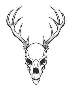 Tattoo template of a deer skull with antlers