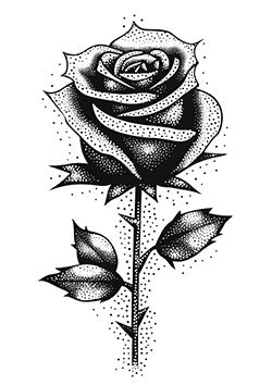 Tattoo template of a dotted shade rose with cosmic effect