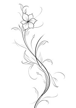 Tattoo template of a single lily with elegant leaves and swirls