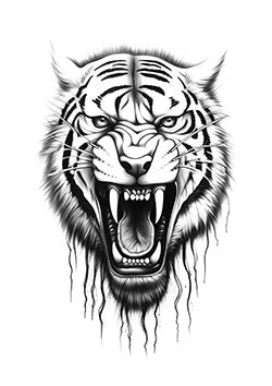 Tattoo template of a roaring tiger with fierce eyes, embodying primal strength and power