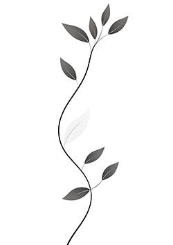 Tattoo template of a black and white vine with leaves