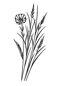 Tattoo template of a delicate wildflower among grass blades reflecting natural beauty and serenity