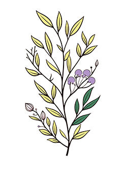 Tattoo template of a botanical branch with vibrant leaves