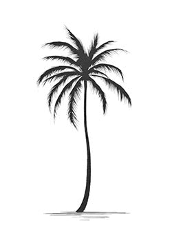 Tattoo template of a lone palm tree