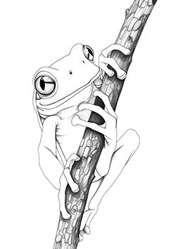 Tattoo template of a realistic frog clinging to a tree branch, emphasizing nature's serenity