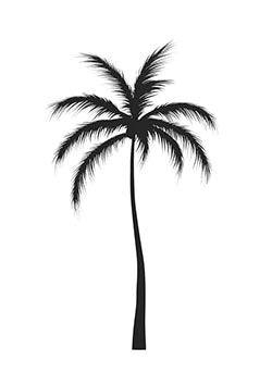 Tattoo template of a single palm tree with detailed fronds