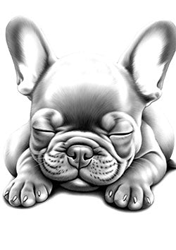 Tattoo template of a sleeping French Bulldog puppy, symbolizing tranquility and cuteness