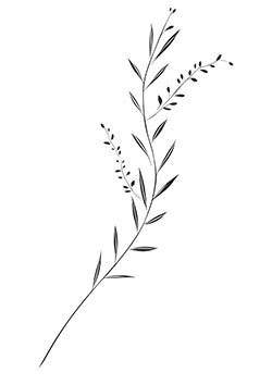 Tattoo template of an olive branch with berries.