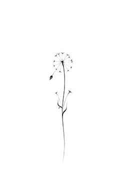 Tattoo template of a dandelion with seeds blowing away