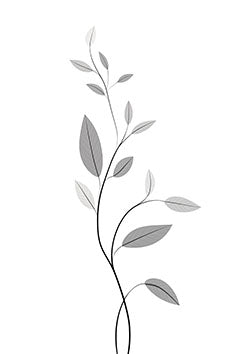 Tattoo template of a slender vine with delicate leaves