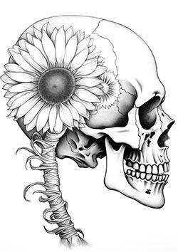 Tattoo template of a skull entwined with a blooming sunflower, symbolizing the balance between life and death.