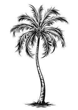 Tattoo template of a detailed blackwork palm tree standing alone