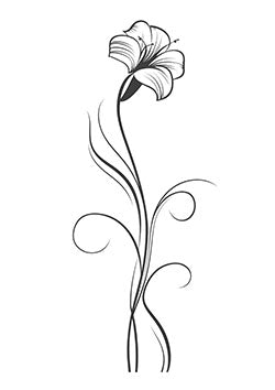 Tattoo template of a single lily flower with elegant flowing lines