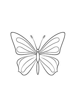 Tattoo template of a symmetrical butterfly with delicate wings