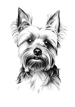 Tattoo template of a lifelike Yorkshire Terrier dog evoking loyalty and affection