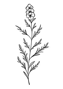 Tattoo template of a lavender sprig with blossoms and intricate leaves