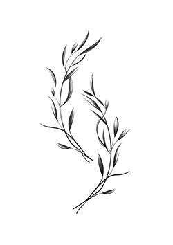 Tattoo template of intertwining olive branches