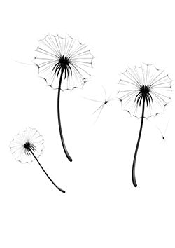 Tattoo template of a trio of dandelions blowing in the wind, symbolizing fleeting moments and delicate beauty