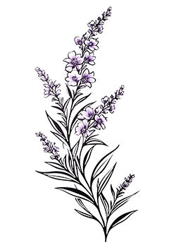 Tattoo template of a blooming lavender stalk with intricate details