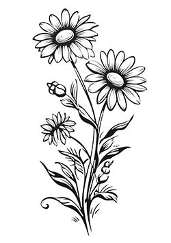 Tattoo template of a triplet of blooming daisies