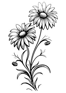 Tattoo template of a pair of detailed daisies with flowing stems