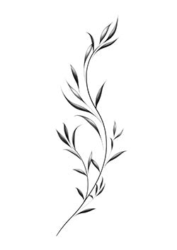 Tattoo template of a stylized botanical vine design