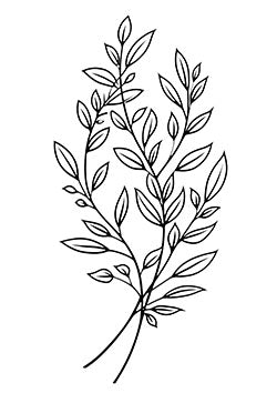 Tattoo template of delicate branches with leaves intertwining gracefully and evoking natural elegance and calm