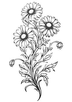 Tattoo template of a daisy bouquet with detailed leaves